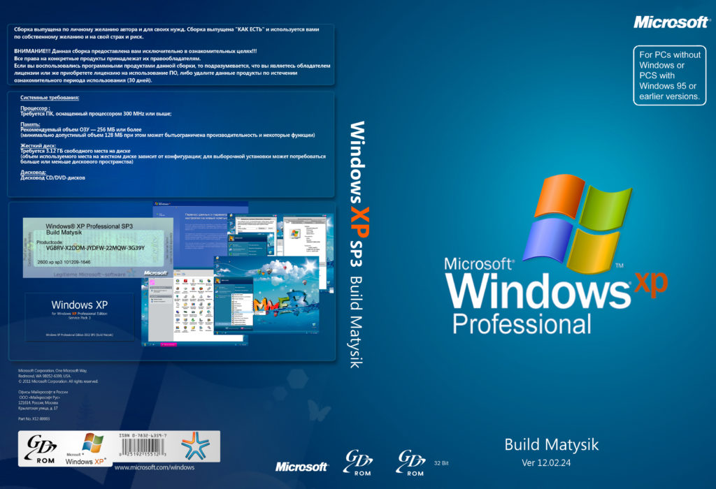 Windows XP professional
