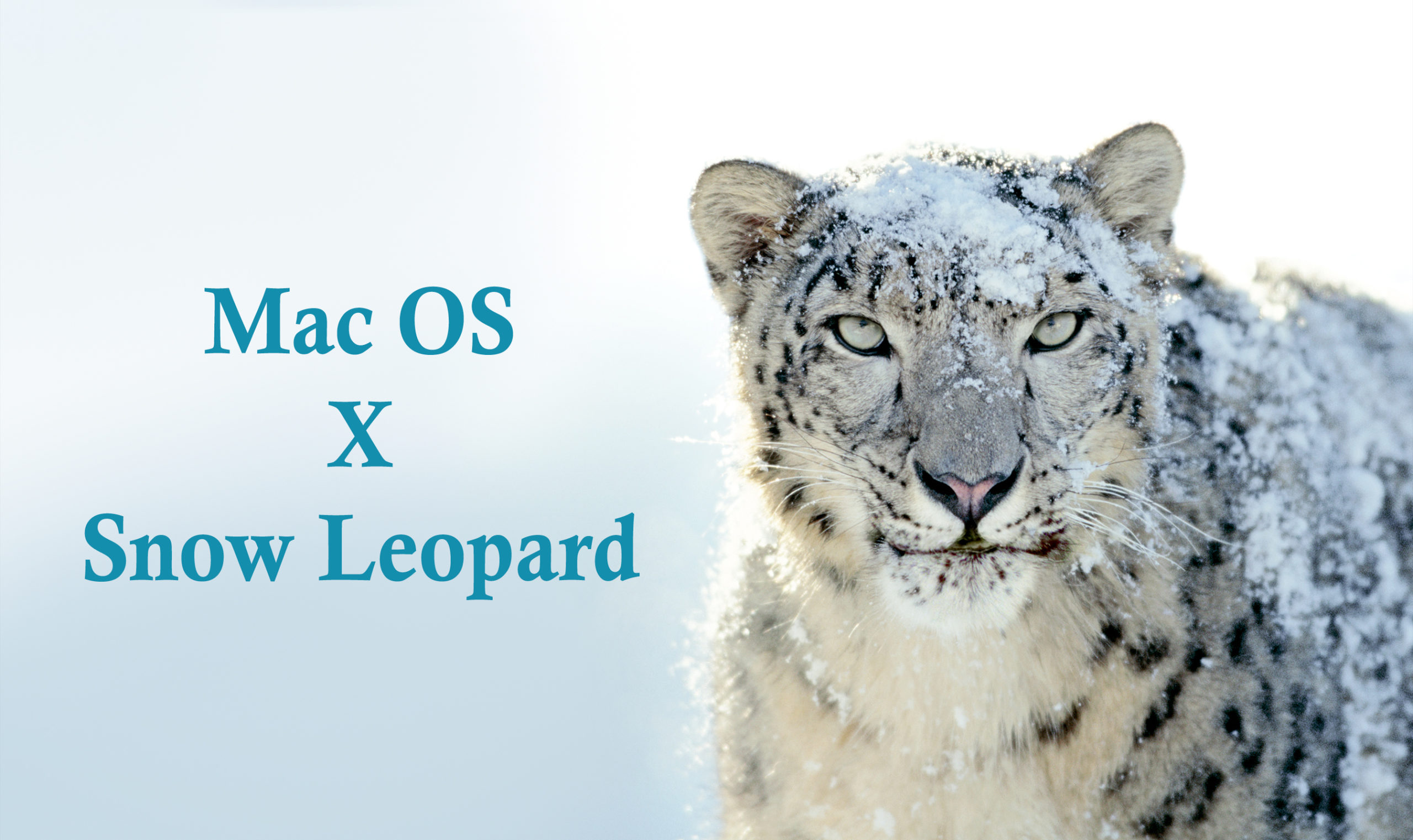 Mac OS X Snow Leopard 10.6 ISO Download