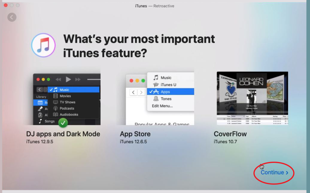 Step 4: What’s your most important iTunes feature?