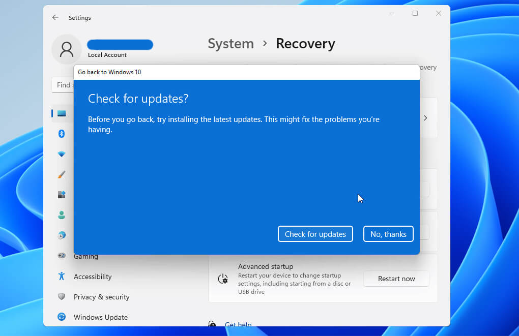 windows 11 check for updates option