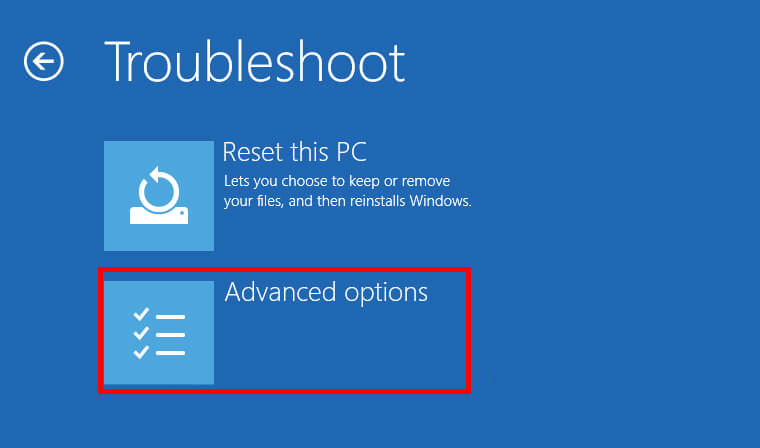 select Advanced options from Troubleshoot