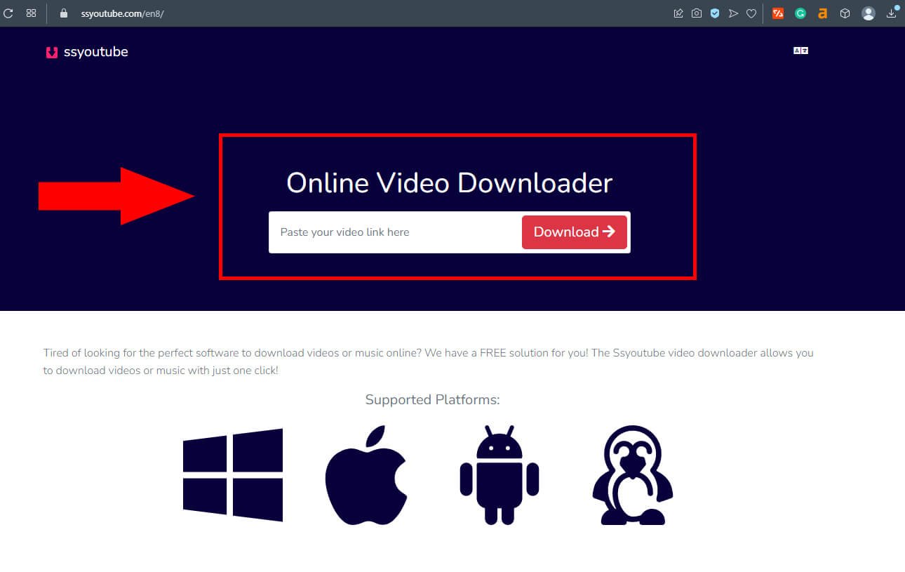 SSyoutube video downloader